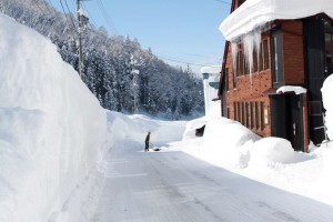 Nozawa Cottage February 2012