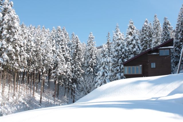 Ski-in/Ski-out Accommodation in Nozawa Onsen