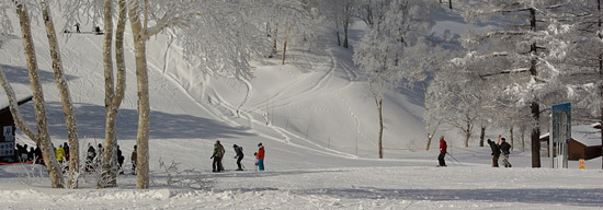 Nozawa Wide
