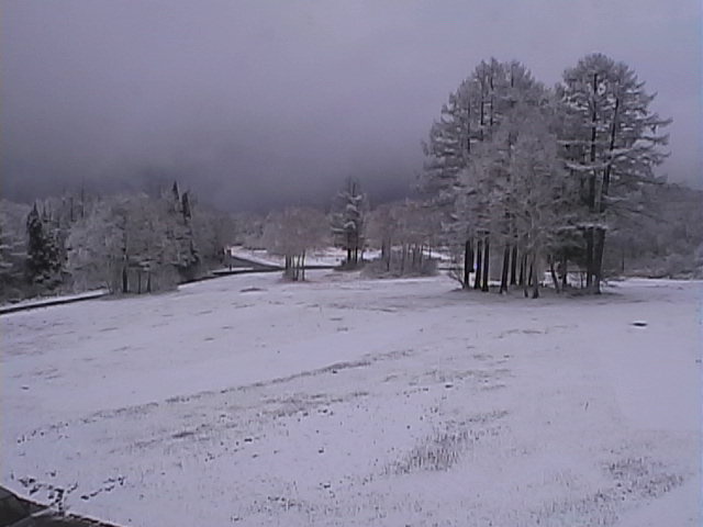 Nozawa Onsen November Dump