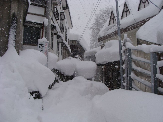 Snow Nozawa gets LOTS