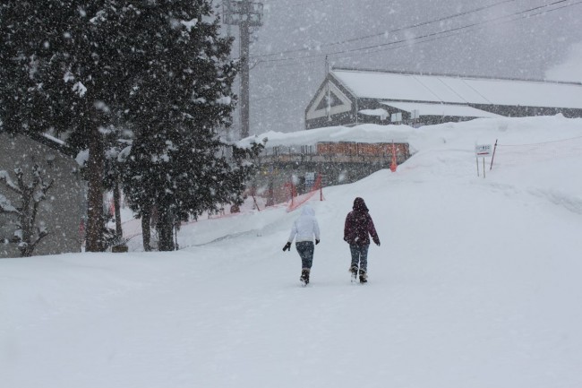 Daytime dump Nozawa