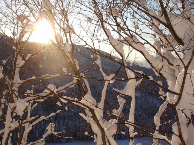 Rare Sunshine in Nozawa