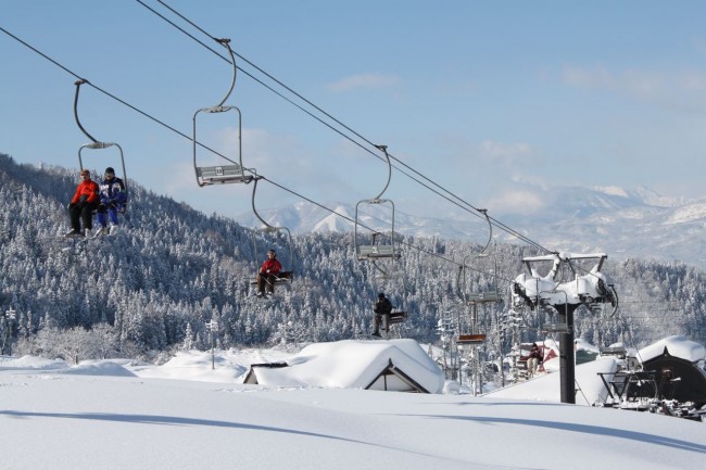 75cm of fresh and sunshine Nozawa