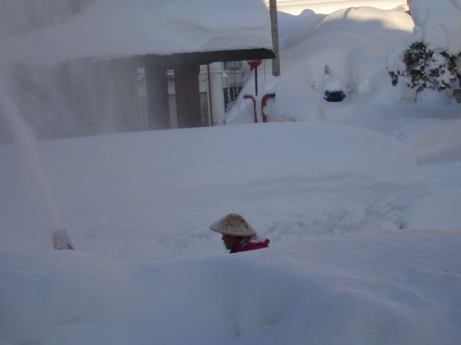 Dig out Nozawa