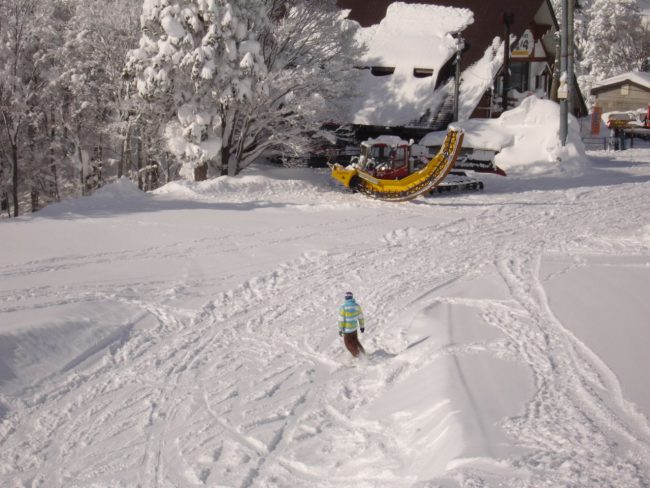 Natural Half Pipe Nozawa