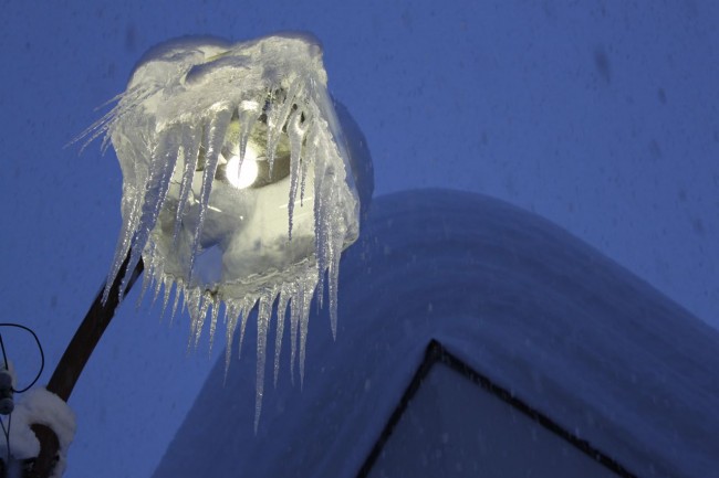 Jelly Fish Light