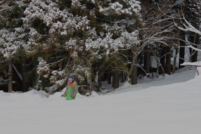 Light Dusting in Nozawa