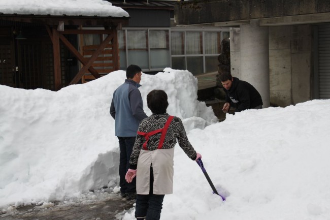 Shovel help Nozawa