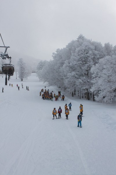 Snow Shoe Tours