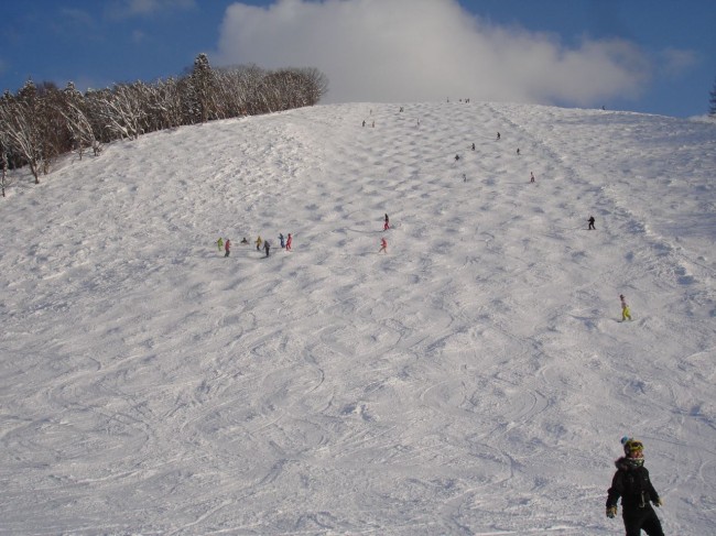 Utopia Moguls in Nozawa