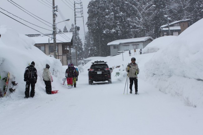 Wild and wooly in Nozawa
