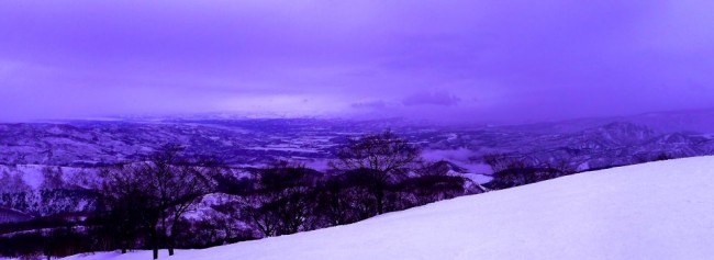 Nozawa Purple Haze by Sean