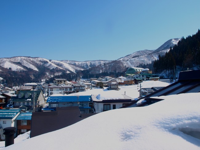 Nozawa Bluebird