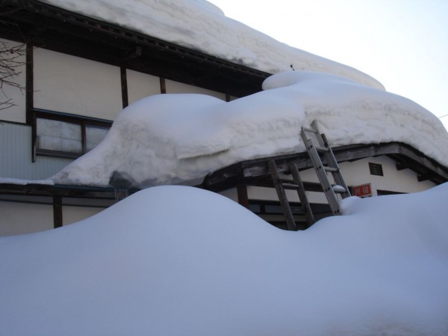 Still covered in Nozawa