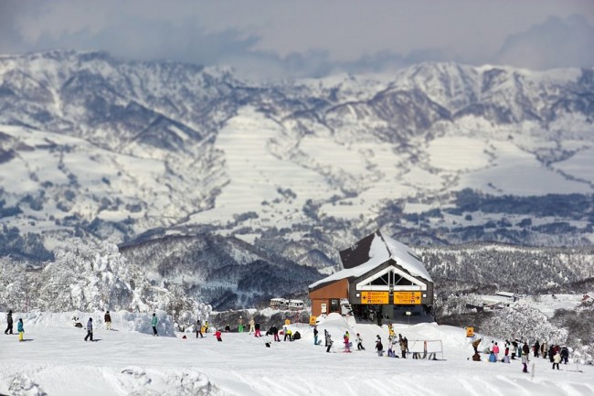Yamabiko Quad from the top by Shaun Mittwollen