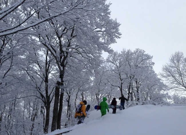 Powder Hikers have begun in Nozawa Onsen