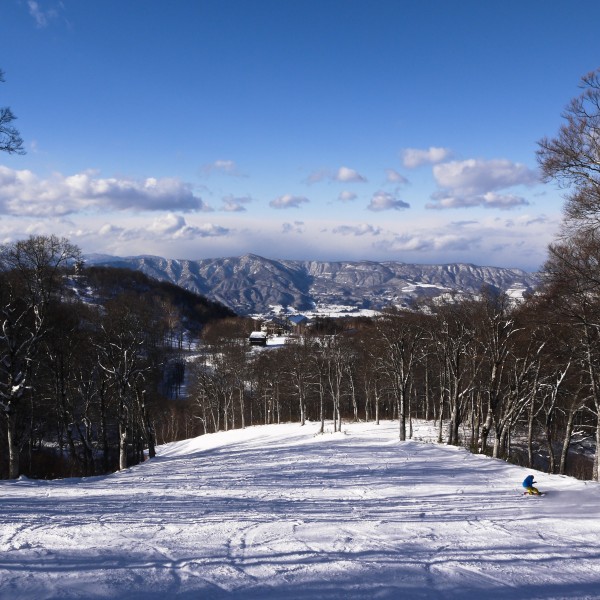 Sunny Days Nozawa DEcember 2012
