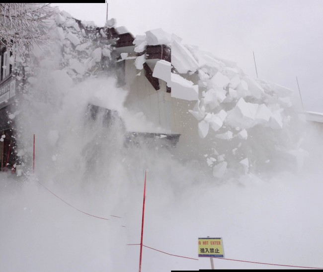 Yamabiko Avalanche Nozawa