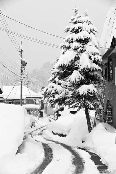 Empty snowy road900