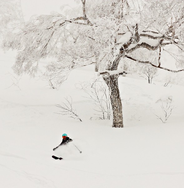 Japan back bowl900