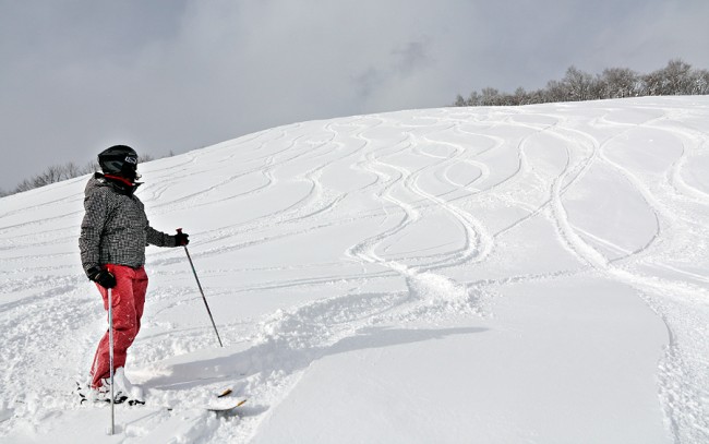 fresh tracks!900
