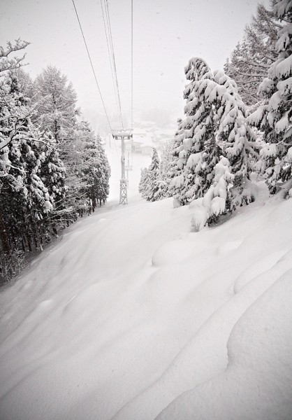 powder lines