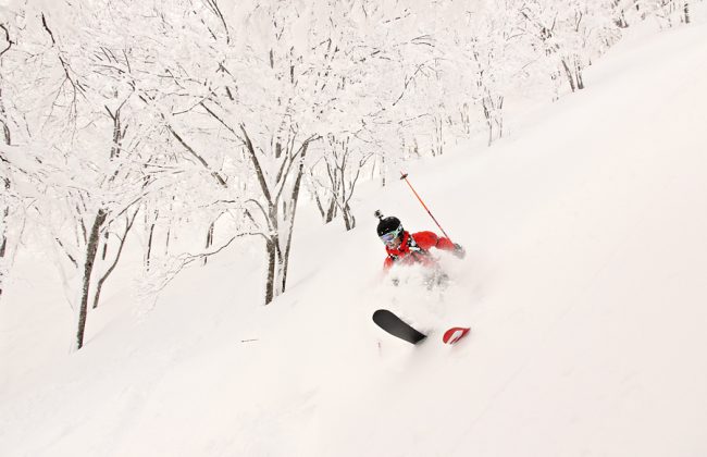 Big Dump Overnight Nozawa 