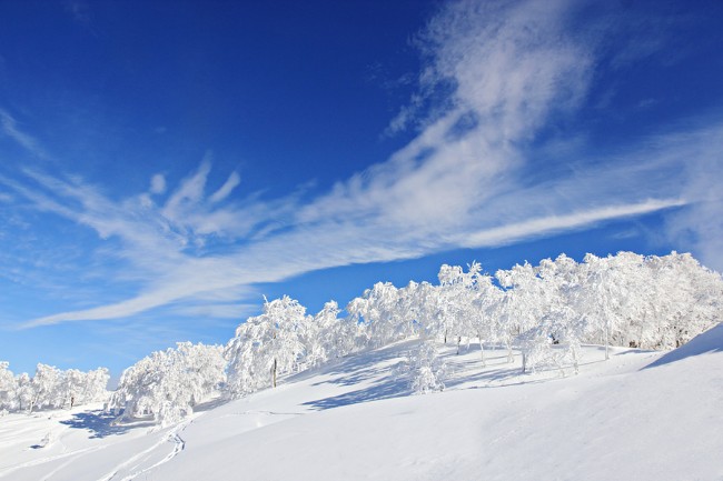 Pefect snow field900