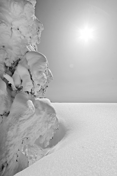 Snow monster close900