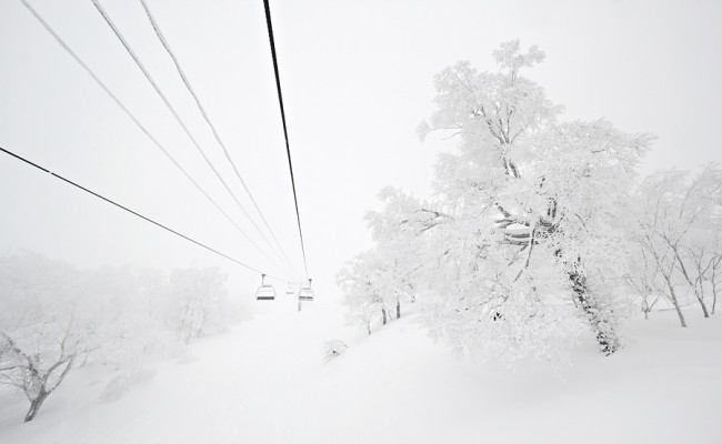 Yamabiko high key900