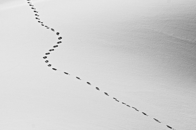 abstract footprints900
