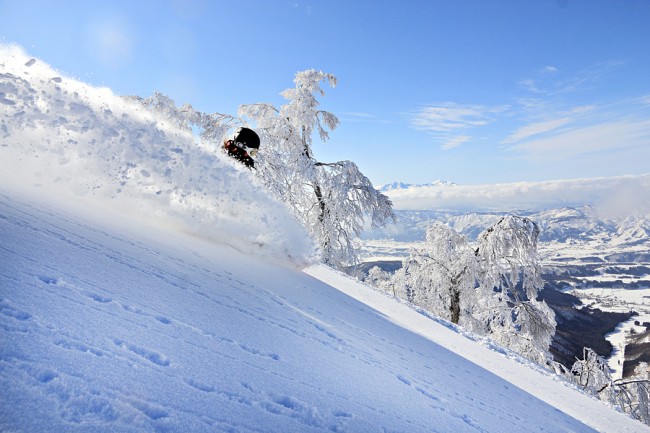 backbowl spray900