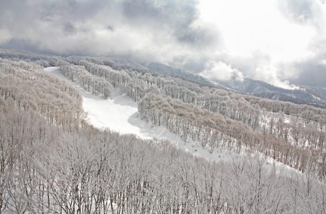 Week Day Skiing Nozawa