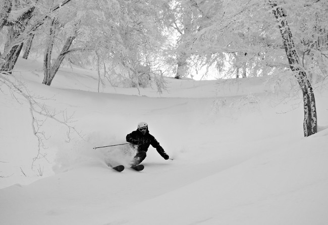secret back bowl900