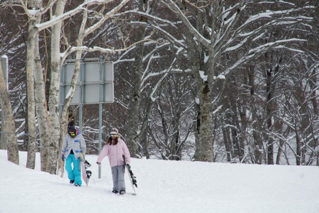 Great start to Golden Week in Nozawa Onsen with 5 cm of fresh snow gracing the upper slopes