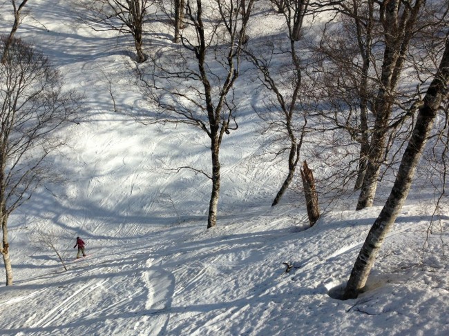Still some nice lines to be had in the bowls in Nozawa 