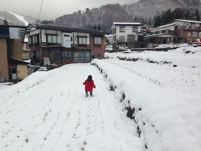 April is awesome strikes again with a 20cm dump in Nozawa Overnight