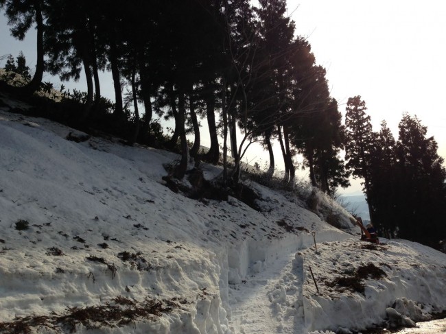 Farmer getting ready for spring in the sun near Nozawa House