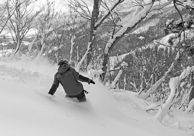 Judita rides amongst the trees in early season Nozawa Onsen.