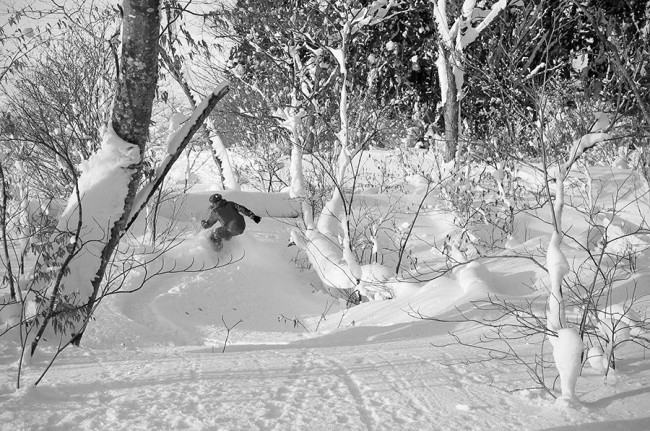 A boarder riders with confidence through the lower early season trees of Nozawa Onsen.