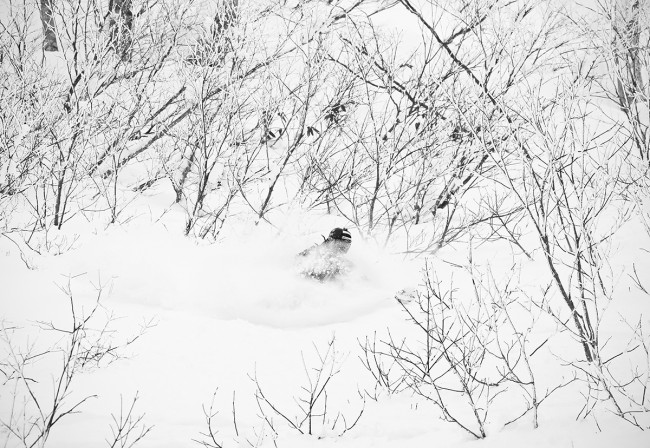 Jerry breaks through some small bushes to access some un-riden powder.