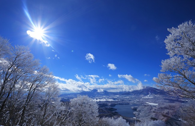 Bluebird powder day at nearby Madarao.