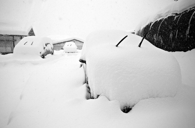 Nozawa yesterday afternoon.