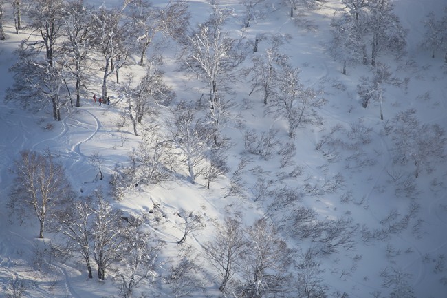 Nozawa Onsen backcountry from afar.