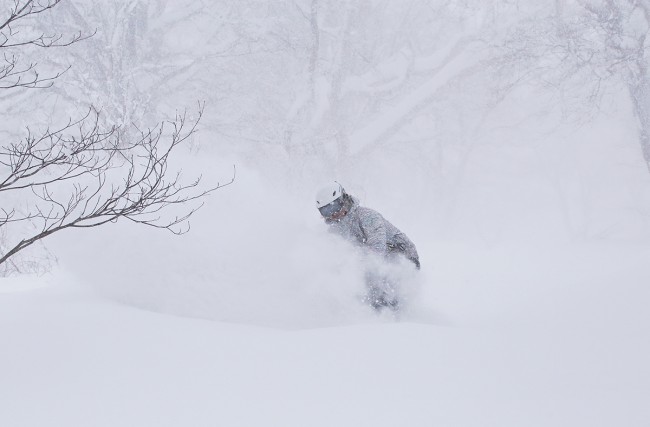 Expect conditions like this over the next week in Nozawa Onsen.