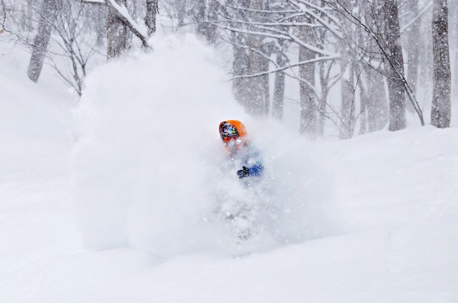 Nozawa Onsen powder.