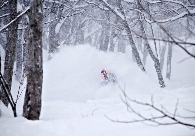 Classic Nozawa Onsen powder run