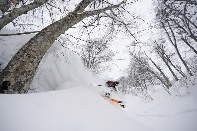 Finding some natural features amongst the trees.