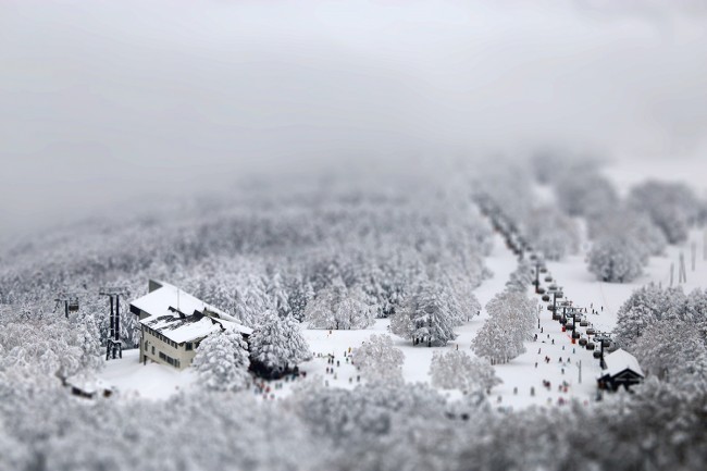 Miniature Nozawa.